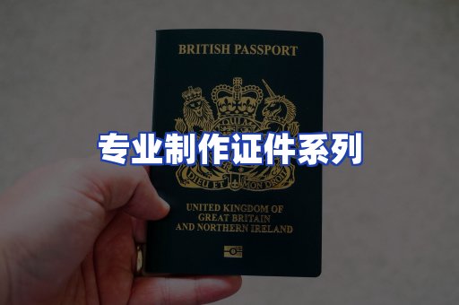专业制作证件系列
